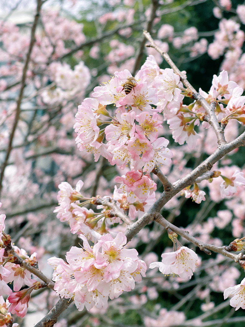 日出水了啊快点使劲动态图