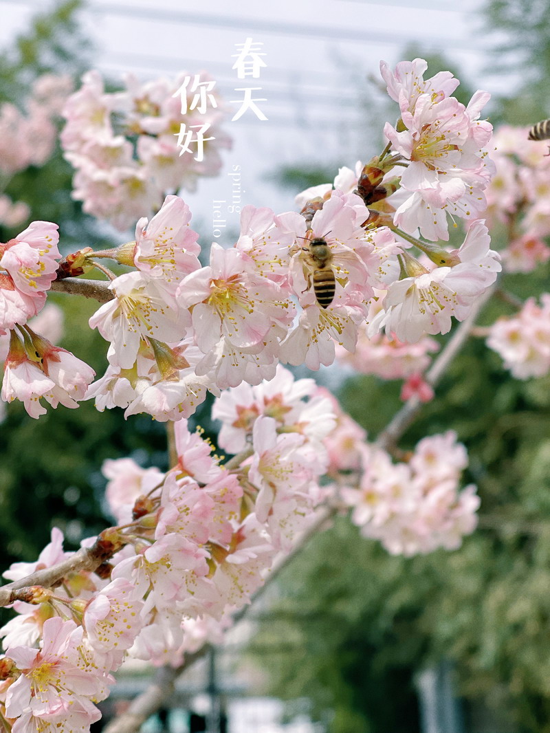 日出水了啊快点使劲动态图