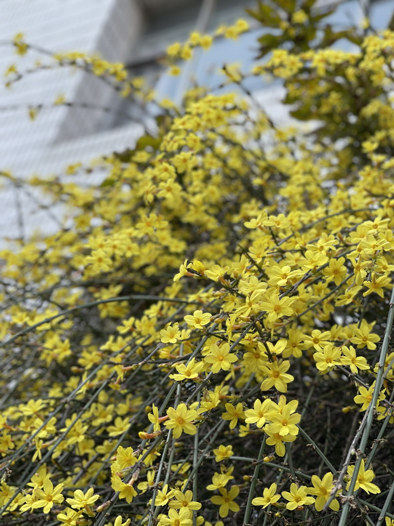 日出水了啊快点使劲动态图