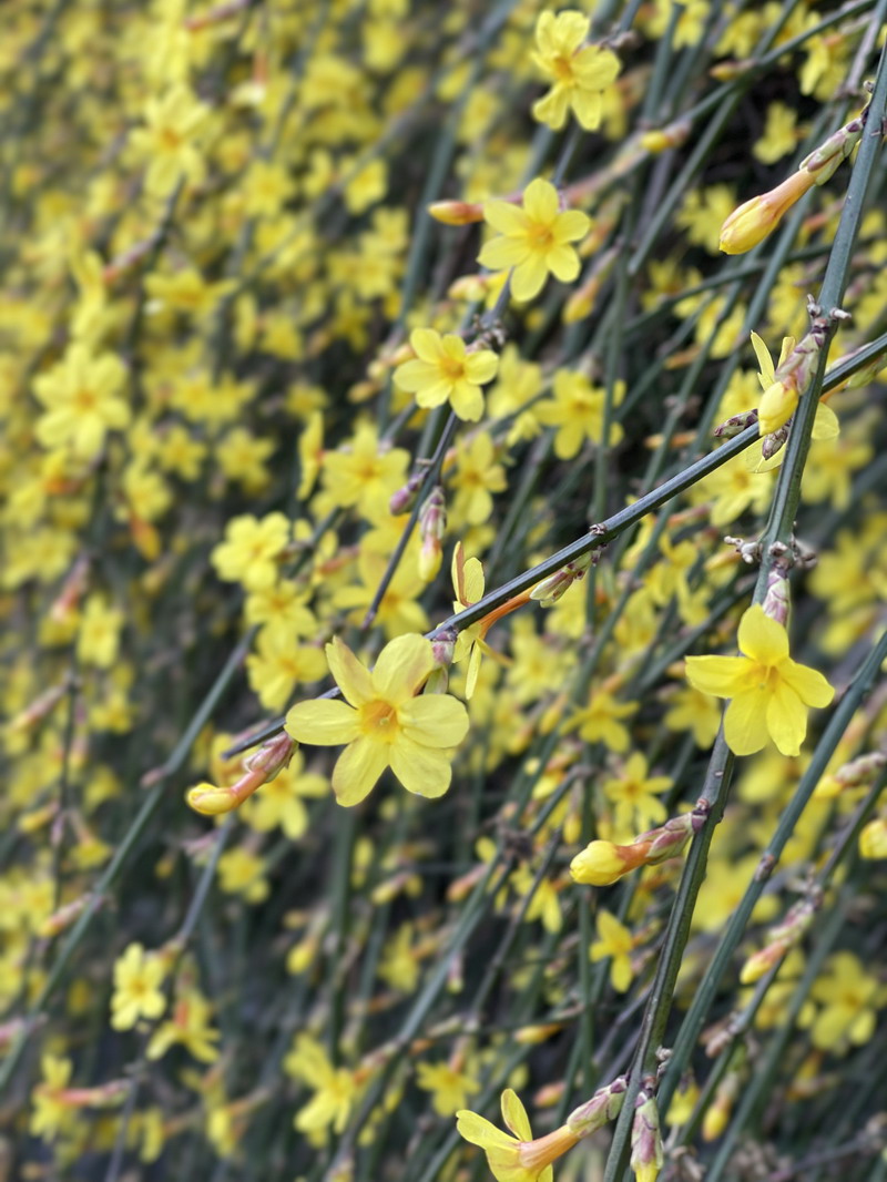 日出水了啊快点使劲动态图