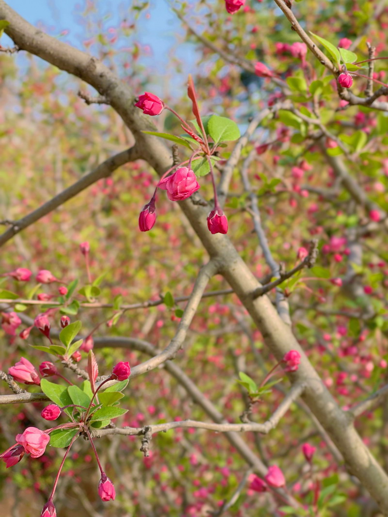 日出水了啊快点使劲动态图
