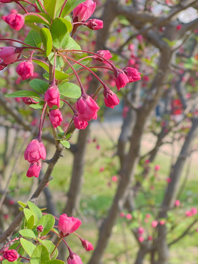 日出水了啊快点使劲动态图