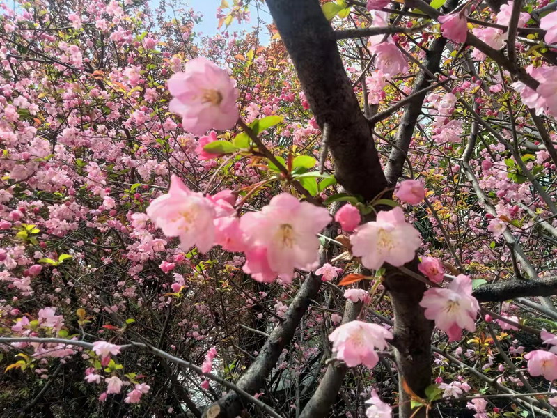 日出水了啊快点使劲动态图