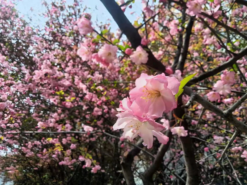 日出水了啊快点使劲动态图