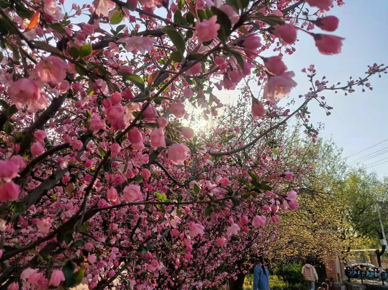 日出水了啊快点使劲动态图