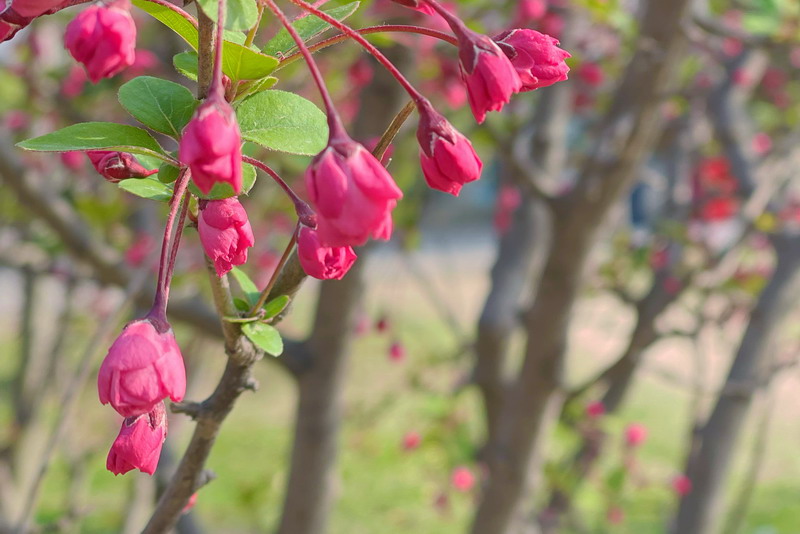 日出水了啊快点使劲动态图
