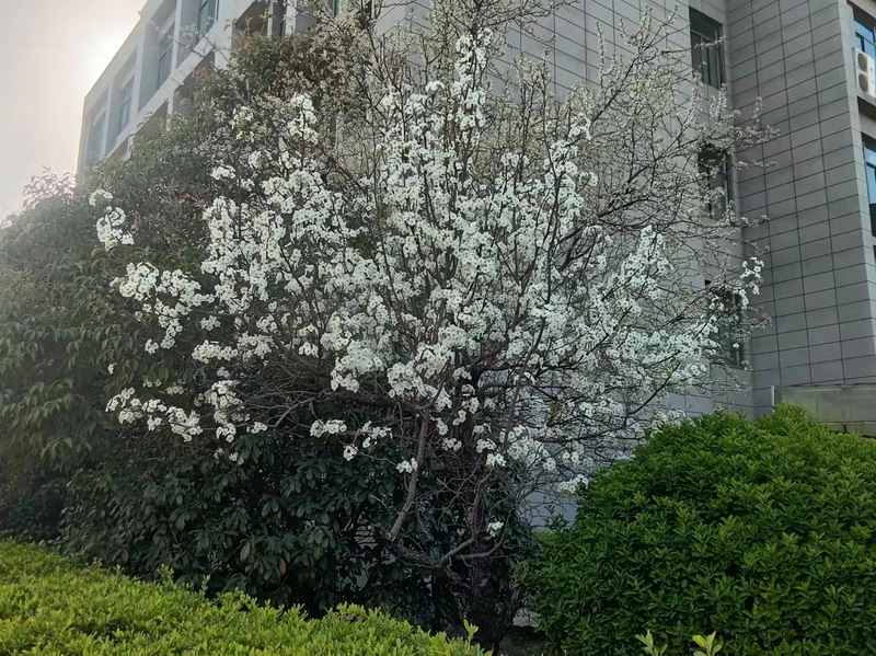 日出水了啊快点使劲动态图