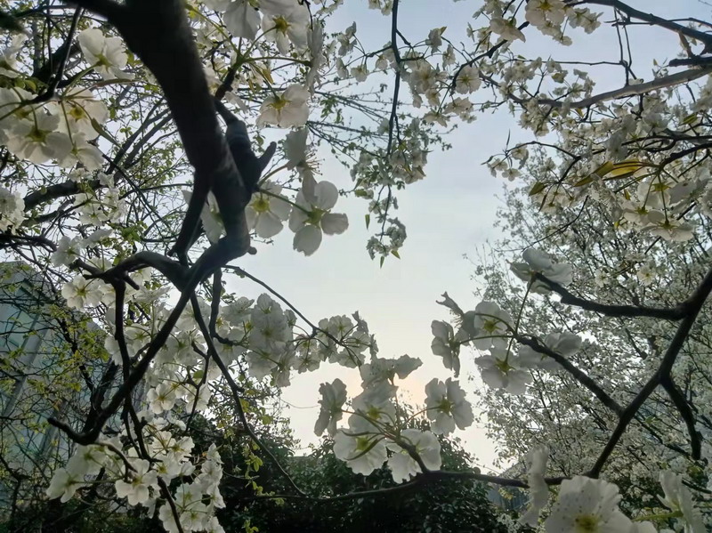 日出水了啊快点使劲动态图