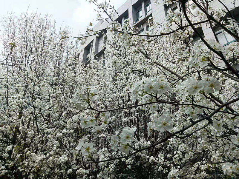 日出水了啊快点使劲动态图