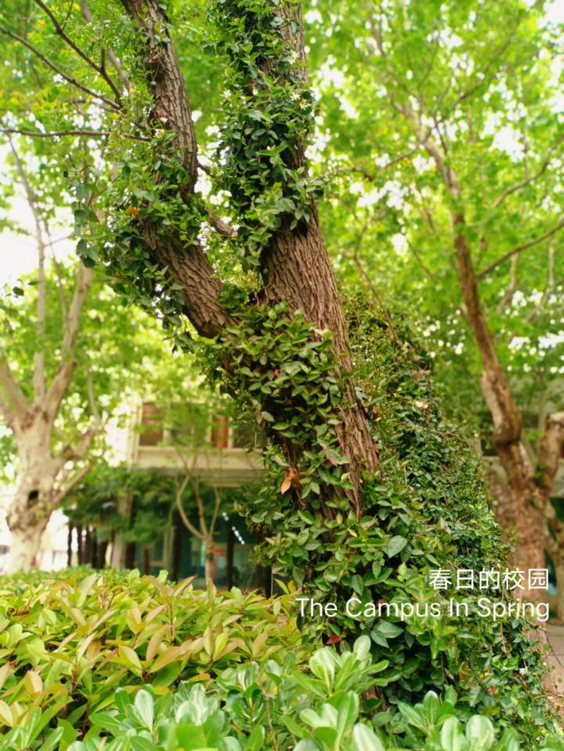 日出水了啊快点使劲动态图