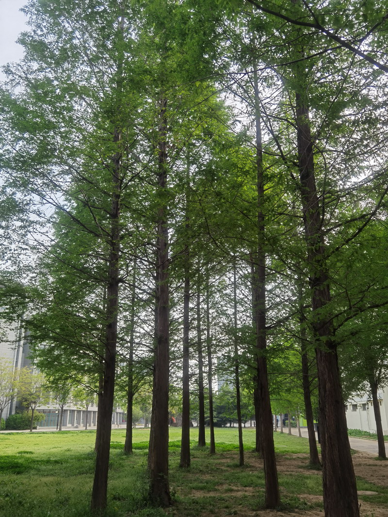 日出水了啊快点使劲动态图