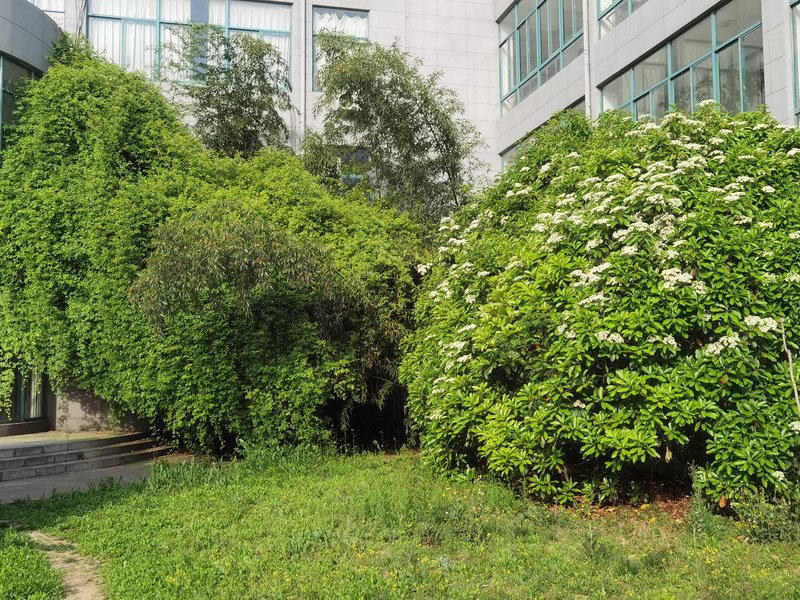 日出水了啊快点使劲动态图