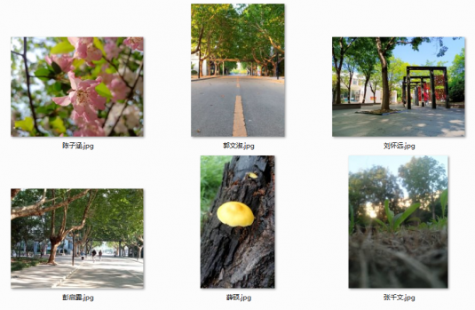 日出水了啊快点使劲动态图