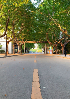 日出水了啊快点使劲动态图