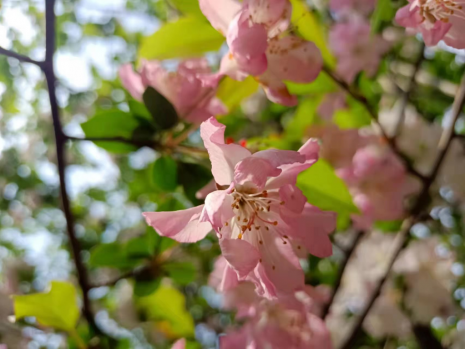 日出水了啊快点使劲动态图