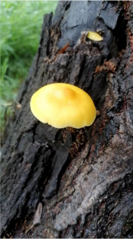 日出水了啊快点使劲动态图