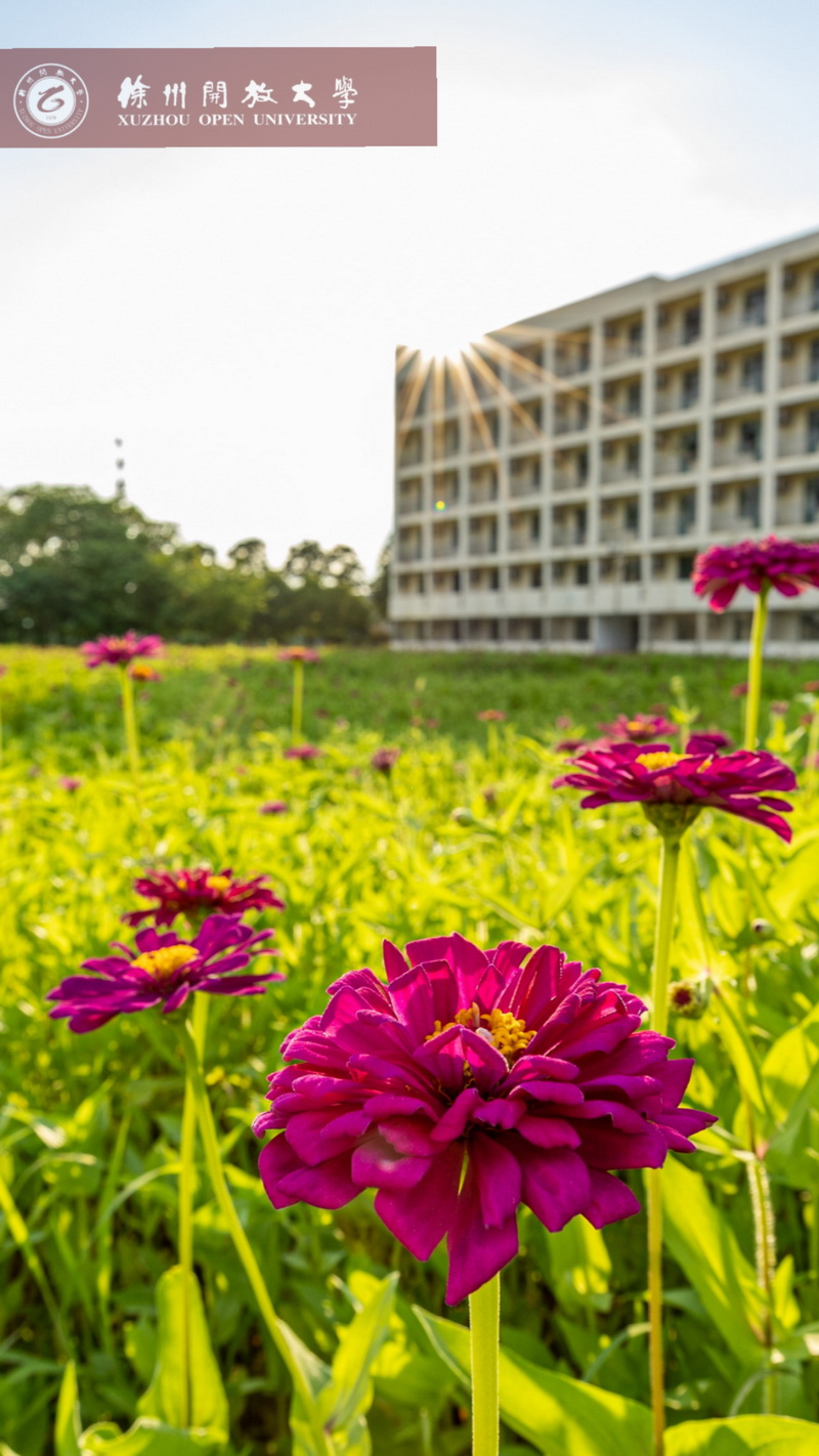 日出水了啊快点使劲动态图