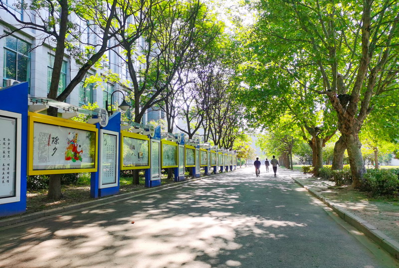 日出水了啊快点使劲动态图