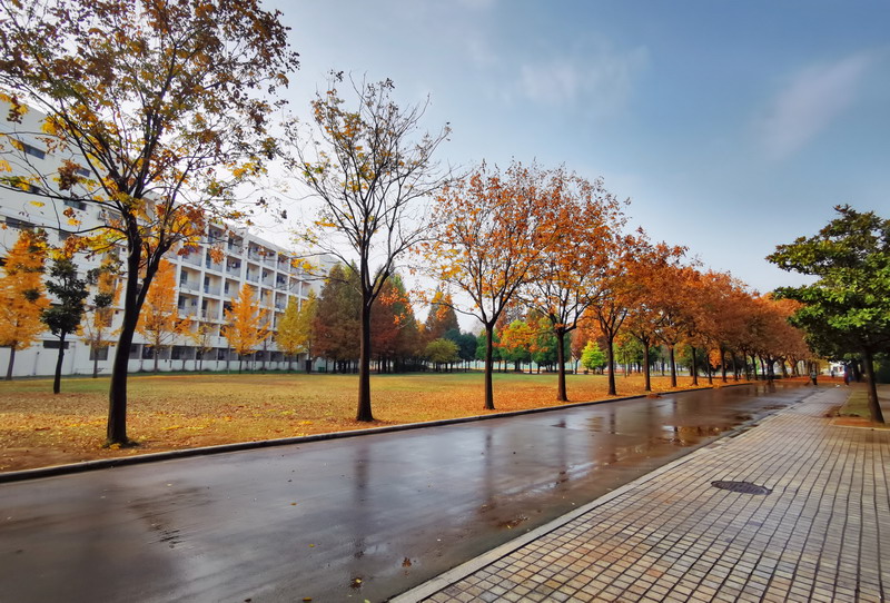 日出水了啊快点使劲动态图