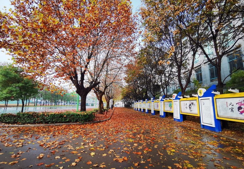 日出水了啊快点使劲动态图