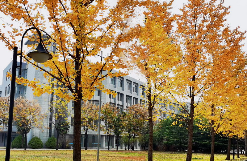 日出水了啊快点使劲动态图