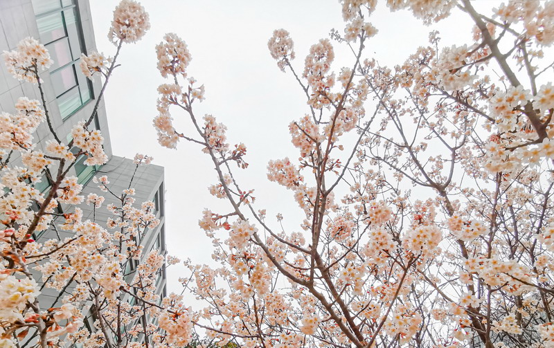 日出水了啊快点使劲动态图