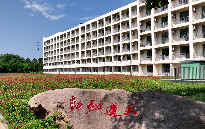 日出水了啊快点使劲动态图