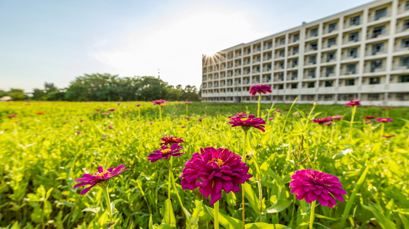 日出水了啊快点使劲动态图