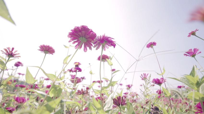 日出水了啊快点使劲动态图