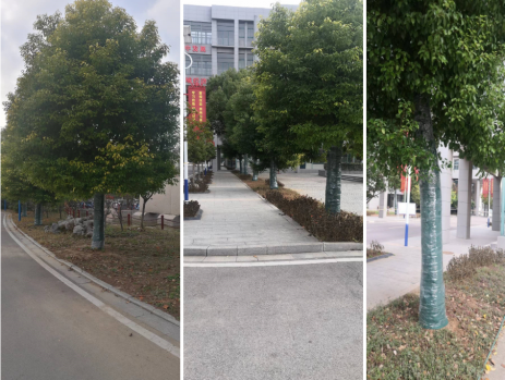 日出水了啊快点使劲动态图