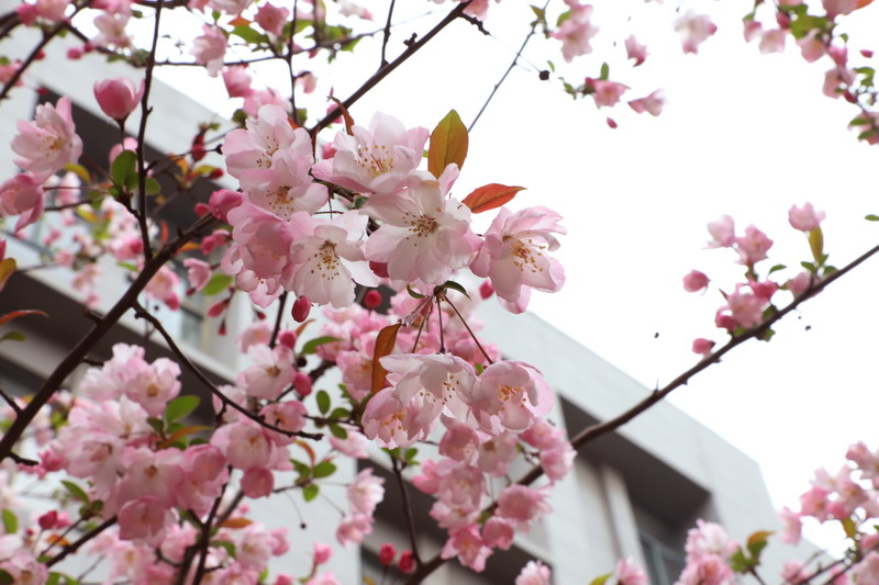 日出水了啊快点使劲动态图