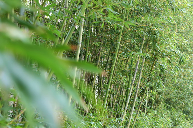 日出水了啊快点使劲动态图