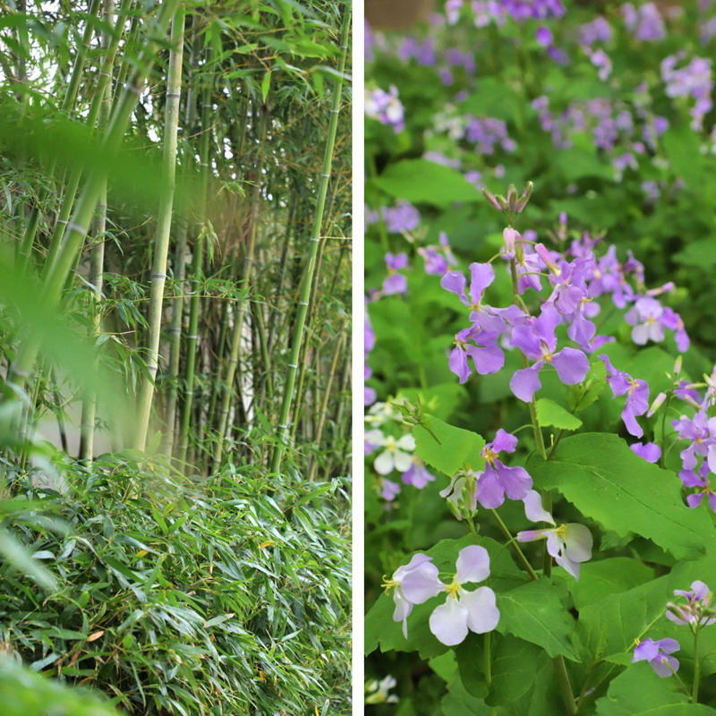 日出水了啊快点使劲动态图