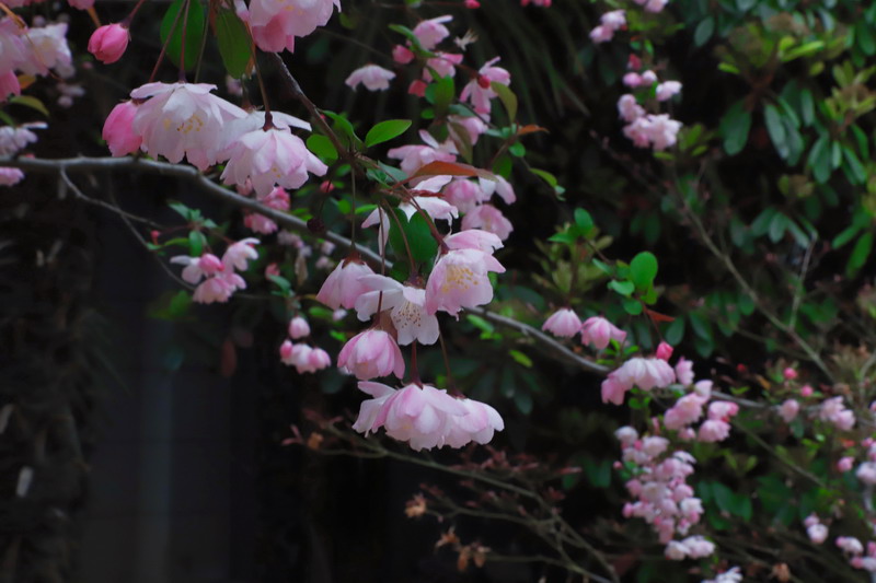 日出水了啊快点使劲动态图