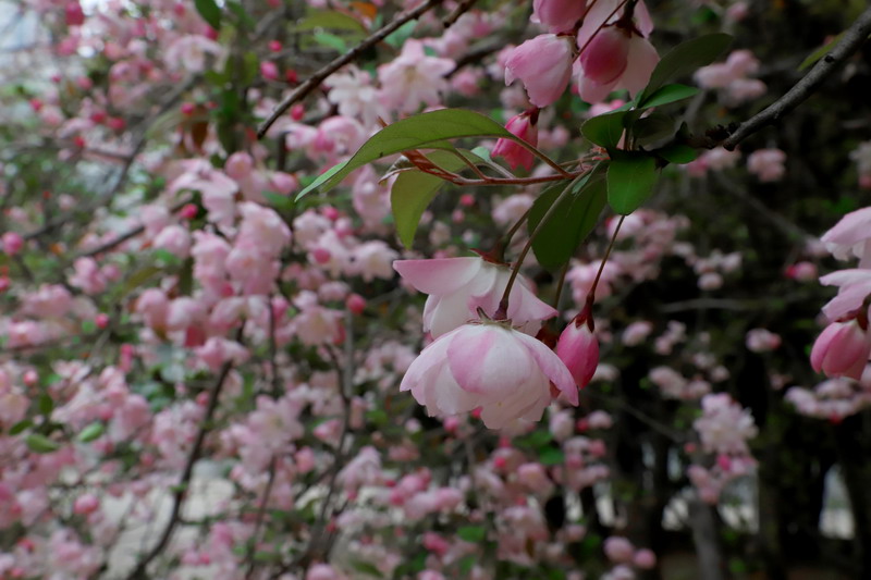日出水了啊快点使劲动态图