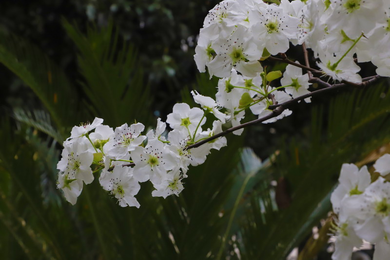 日出水了啊快点使劲动态图