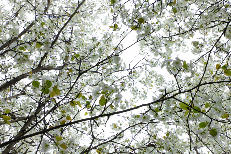 日出水了啊快点使劲动态图