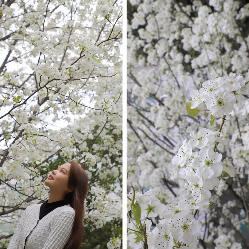 日出水了啊快点使劲动态图