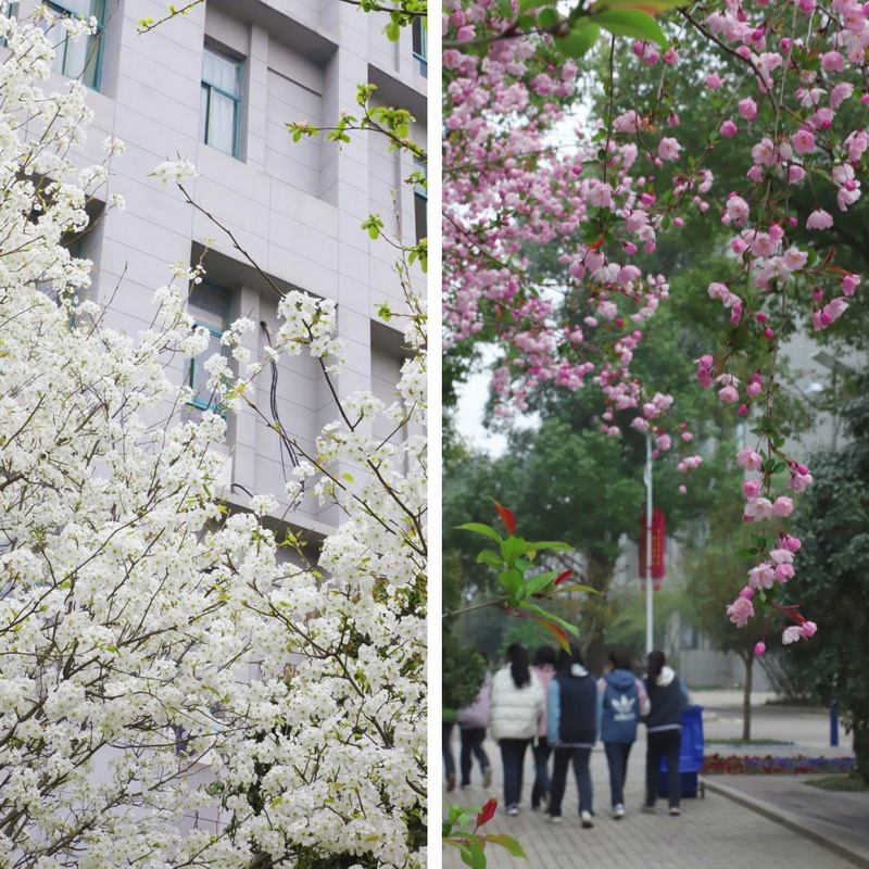 日出水了啊快点使劲动态图