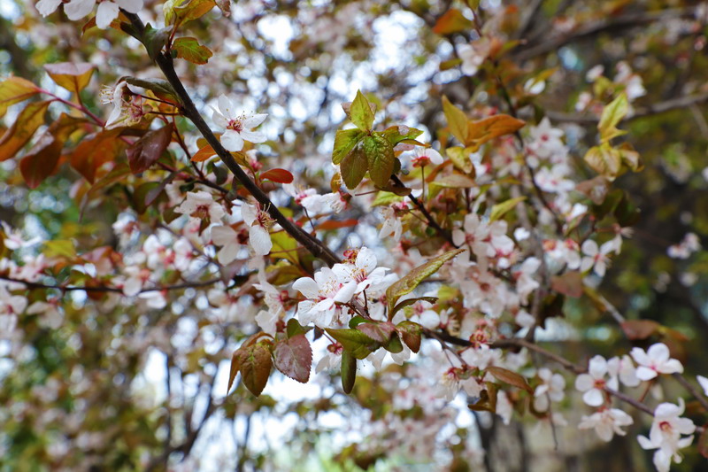 日出水了啊快点使劲动态图