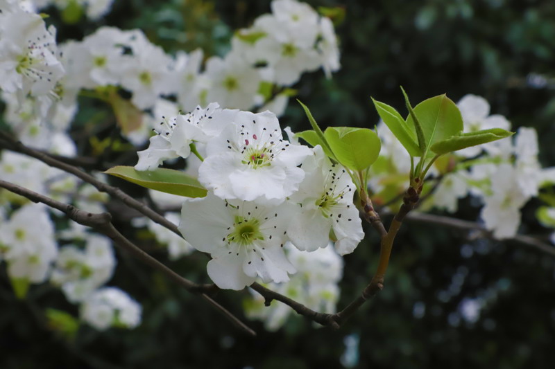 日出水了啊快点使劲动态图