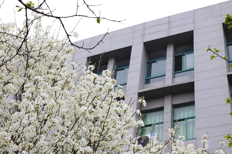 日出水了啊快点使劲动态图