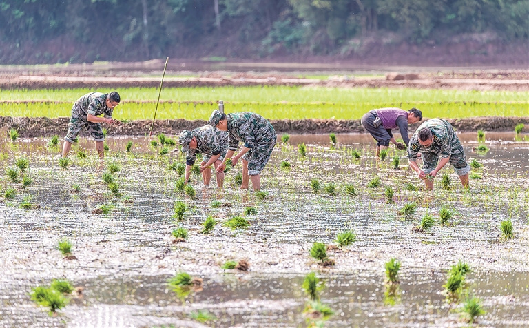 日出水了啊快点使劲动态图