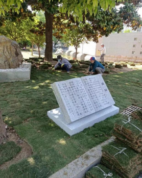 铺设草坪及移装景观石