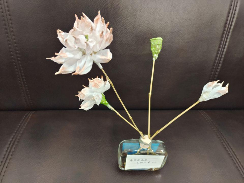 日出水了啊快点使劲动态图