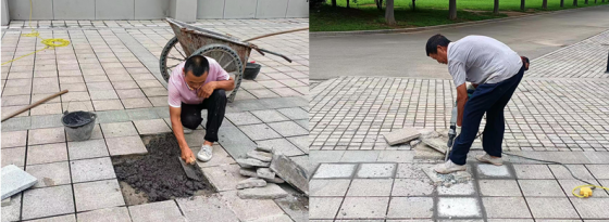 日出水了啊快点使劲动态图