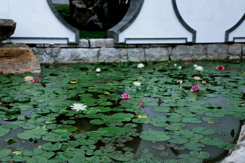 日出水了啊快点使劲动态图