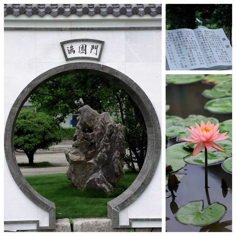 日出水了啊快点使劲动态图