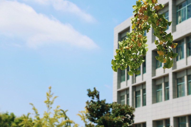 日出水了啊快点使劲动态图