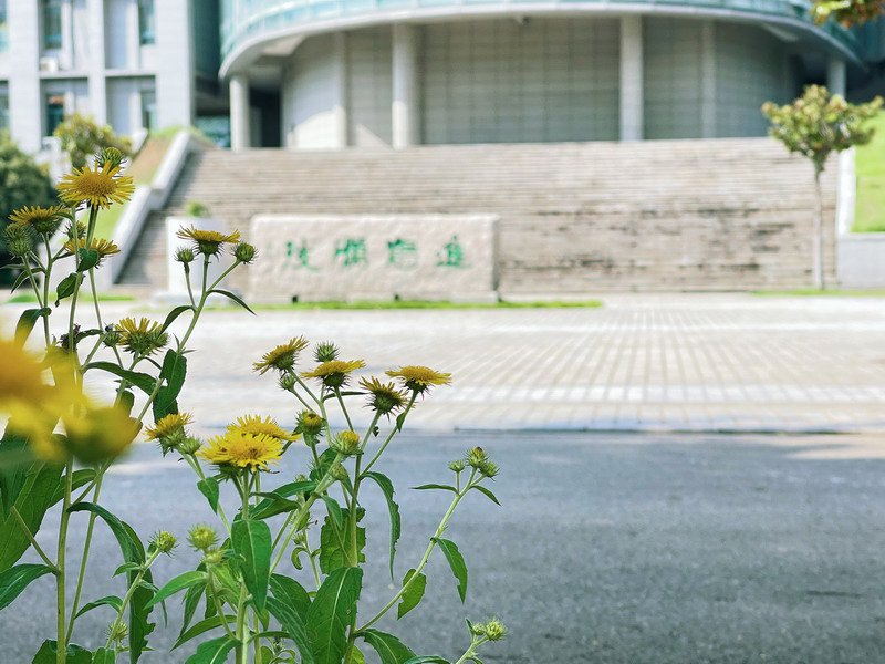 日出水了啊快点使劲动态图